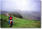 Horseback Tour  - Guided Horseback Tour